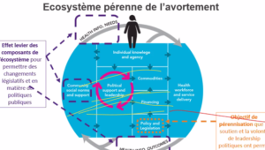 Ecosystème pérenne de l'avortement