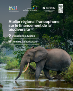 Biodiversité : À Casablanca, 24 pays francophones s’outillent pour réduire le déficit de financement avant la COP17