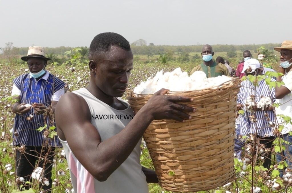 Togo : Lomé accueille la 18e réunion bilan du PR-PICA sur l’avenir de la production cotonnière en Afrique