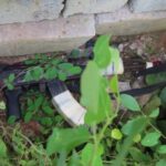 Togo : un braqueur abattu après l’attaque d’un commerçant à Djagblé