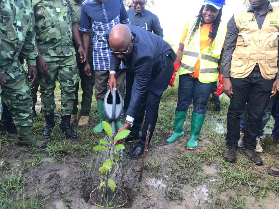 16,8 millions d’arbres pour verdir 11.250 hectares : le pari du reboisement 2026 au Togo