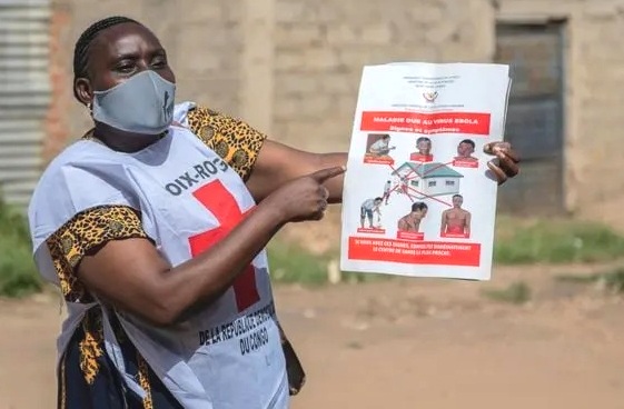 Ebola en RDC et en Ouganda : le nombre de cas suspects tombe de 906 à 116, selon l’OMS