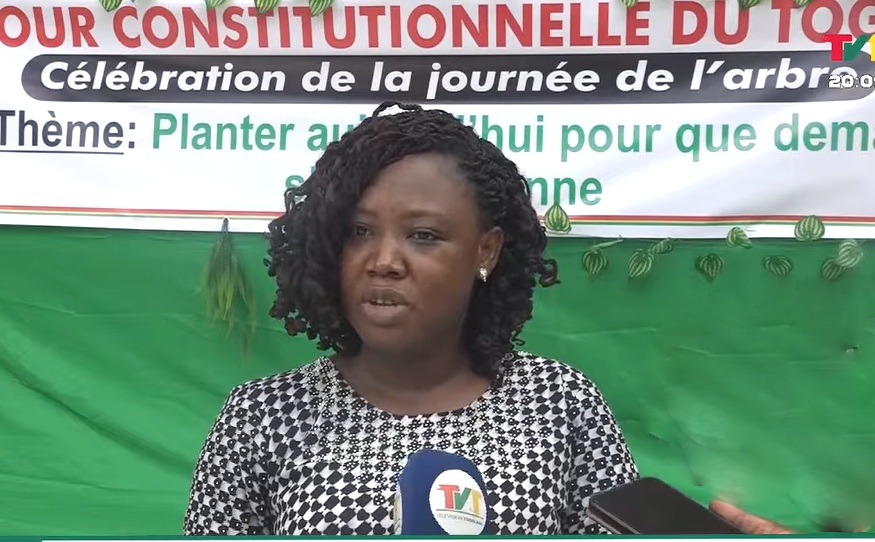 Reboisement : Des agents de la Cour constitutionnelle formés pour un Togo plus vert