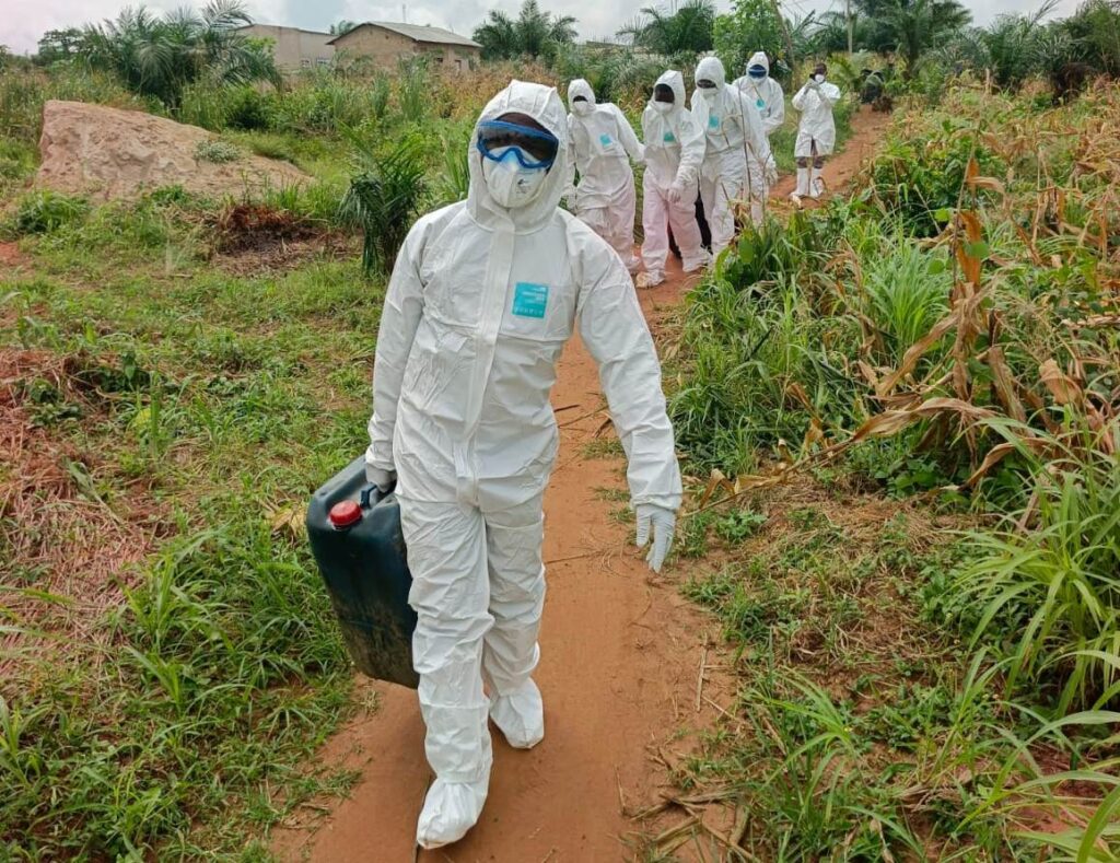 Togo : Des foyers de grippe aviaire dans trois préfectures du sud du pays