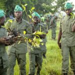 Togo : 400 nouveaux agents pour renforcer les rangs des eaux et forêts