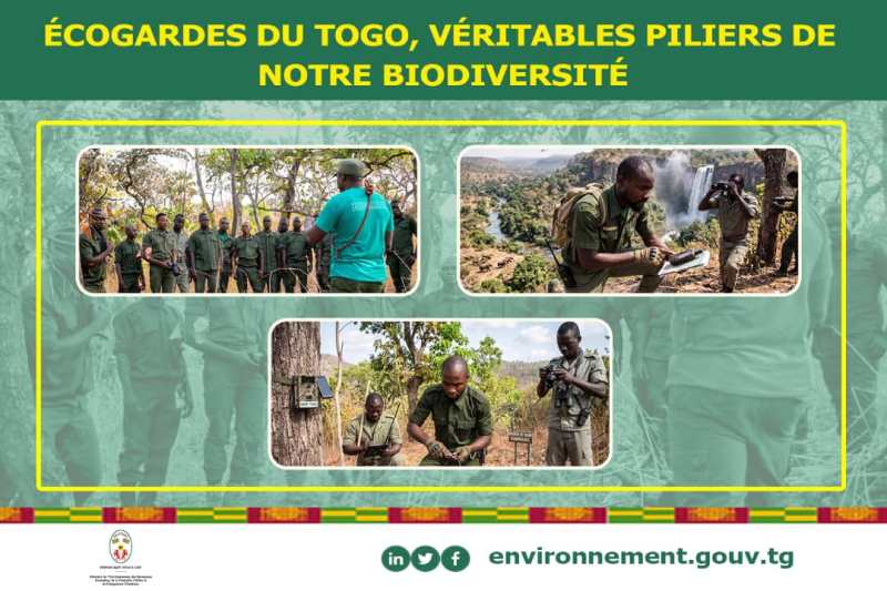 Écogardes : ces gardiens de l’ombre qui protègent la biodiversité du Togo