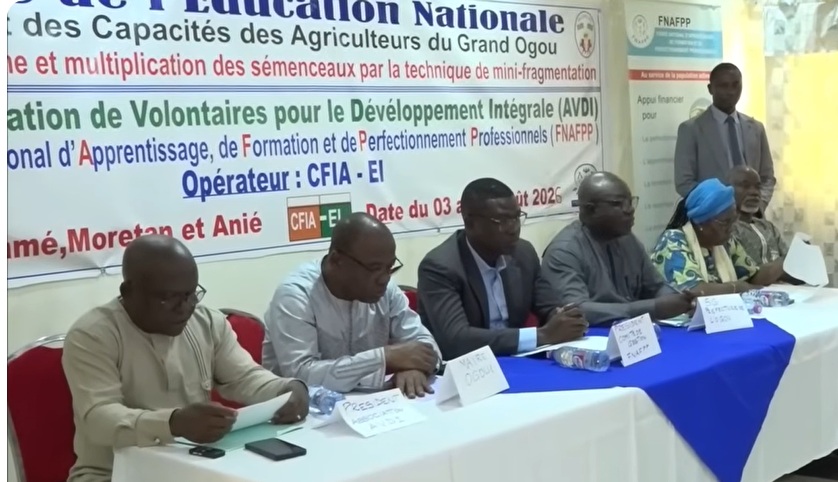Grand Ogou : des producteurs d’igname formés aux techniques modernes de production