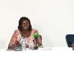 Togo/Projet DeZon : les résultats de l’analyse des Cellules Focales Genre restitués pour renforcer l’intégration du genre dans l’action publique