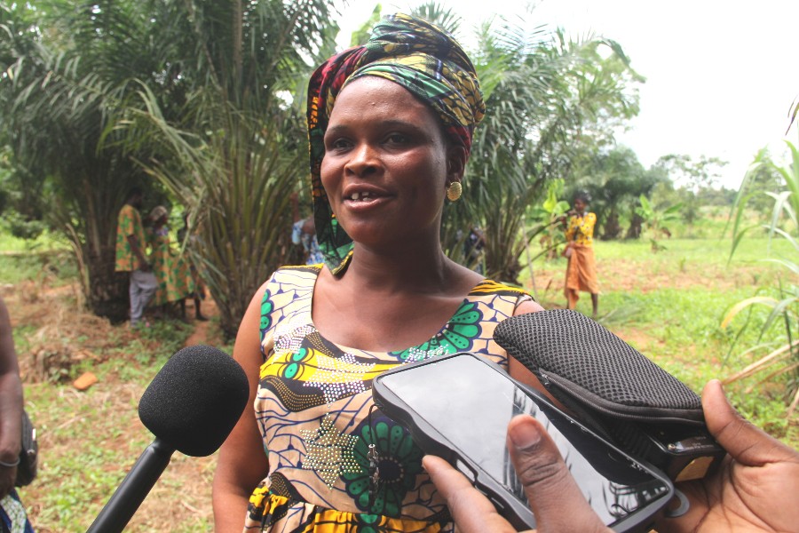 Agriculture durable au Togo : WEMA accompagne les productrices de Tanou et Atsou-Kondji vers le bio