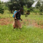 Togo : À Assou Kondji, ces femmes qui misent sur l’adémé pour leur autonomie