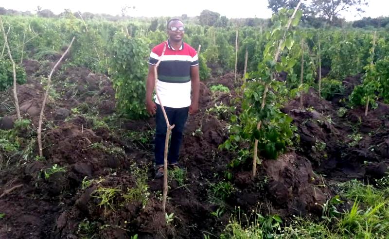 Haho : AFEKE La Gloire, le pari de 23 hectares pour faire grandir l’igname
