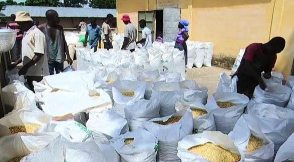 Sécurité alimentaire : L’ANSAT lance une nouvelle campagne, près de 13000 de tonnes de céréales visées