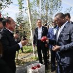 Chine-Togo : à Nangou, Faure Gnassingbé explore les leviers du développement local
